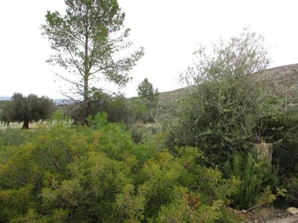 Terreno en Urbanització Llanorel 11