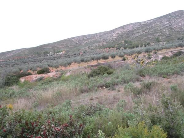 Terreno en Urbanització Llanorel 11