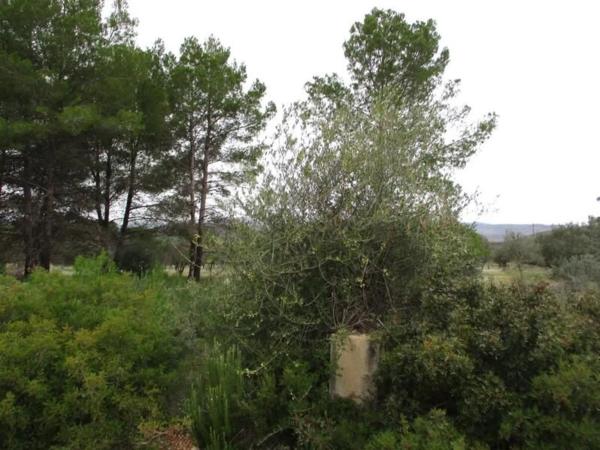 Terreno en Urbanització Llanorel 11