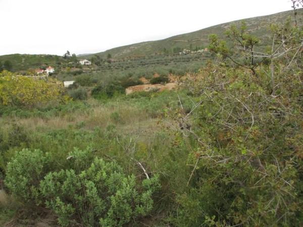 Terreno en Urbanització Llanorel 11