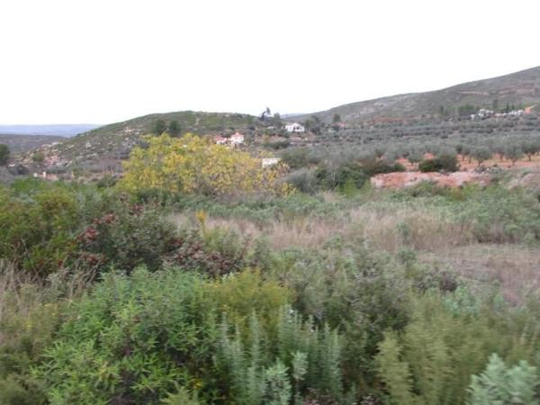 Terreno en Urbanització Llanorel 11