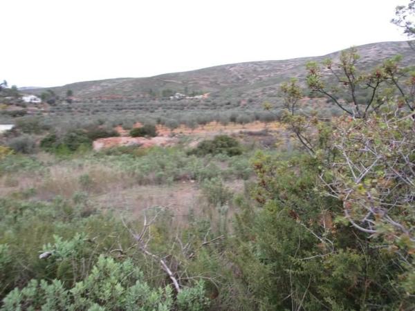 Terreno en Urbanització Llanorel 11