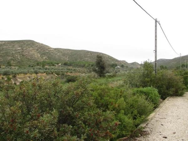 Terreno en Urbanització Llanorel 11