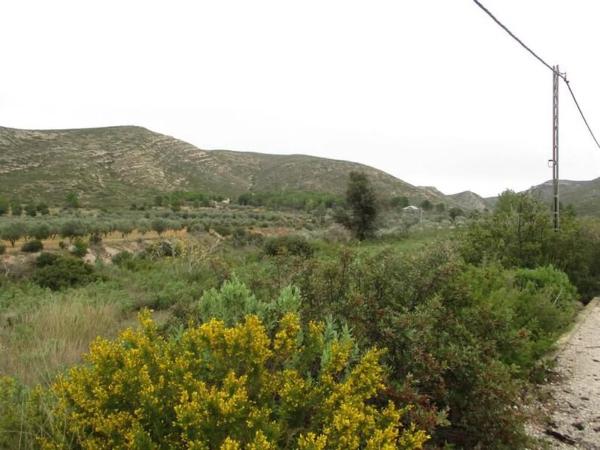 Terreno en Urbanització Llanorel 11