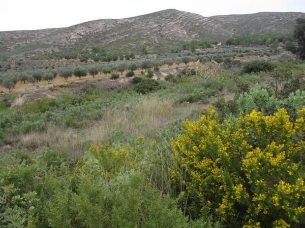 Terreno en Urbanització Llanorel 11