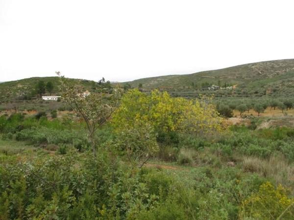 Terreno en Urbanització Llanorel 11