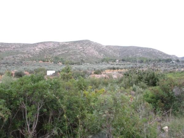 Terreno en calle Llanorel