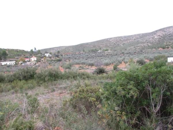 Terreno en calle Llanorel