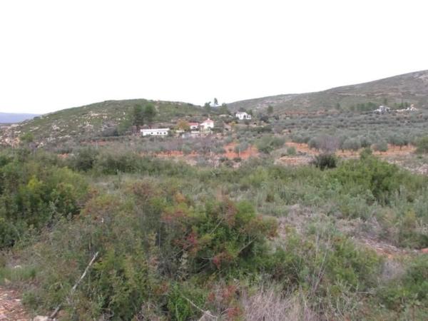 Terreno en calle Llanorel