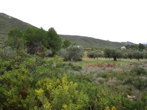 Terreno en calle Llanorel