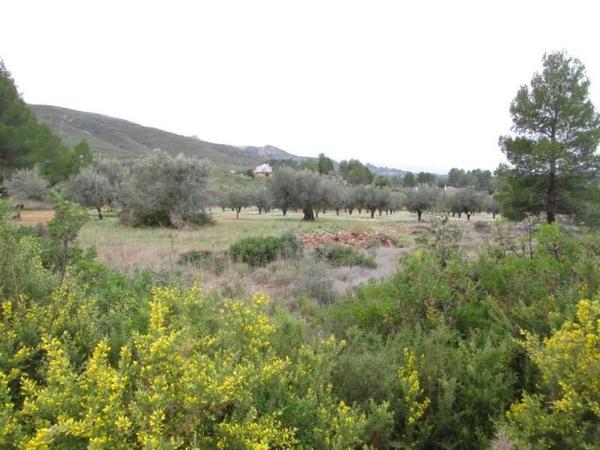 Terreno en calle Llanorel