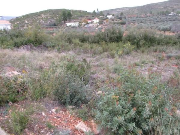 Terreno en calle Llanorel