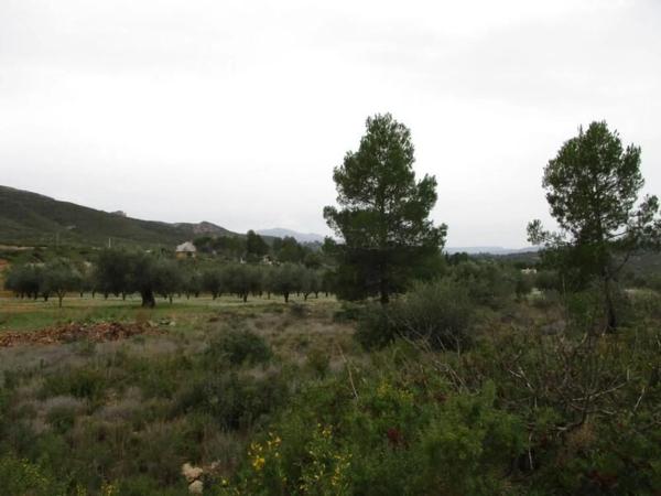 Terreno en calle Llanorel