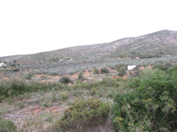 Terreno en calle Llanorel