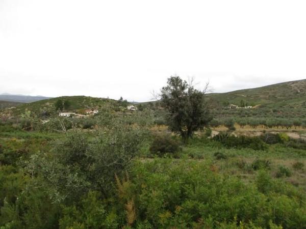 Terreno en Urbanització Llanorel 11