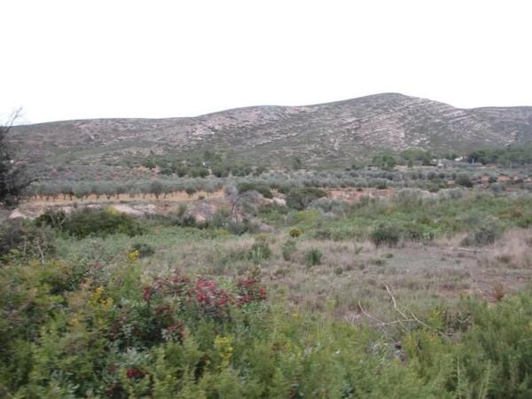 Terreno en Urbanització Llanorel 11