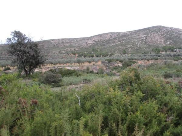 Terreno en Urbanització Llanorel 11