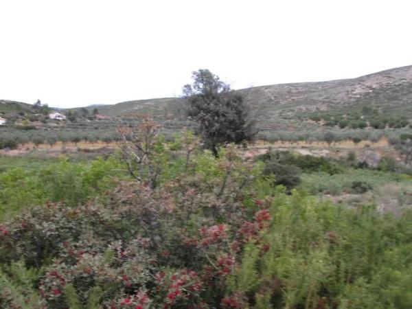 Terreno en Urbanització Llanorel 11