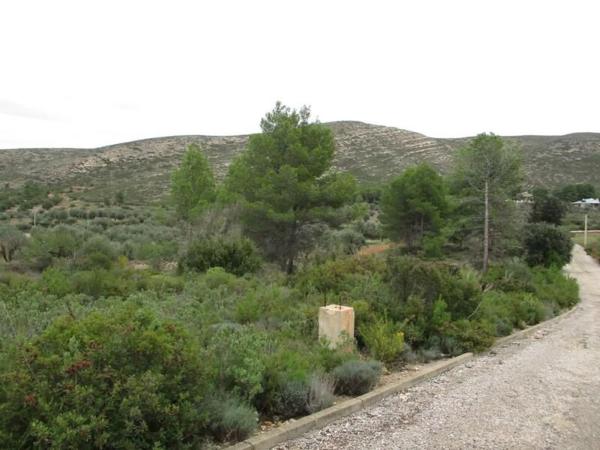 Terreno en calle Llanorel