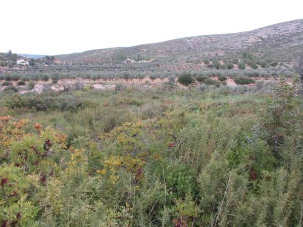 Terreno en Urbanització Llanorel 11
