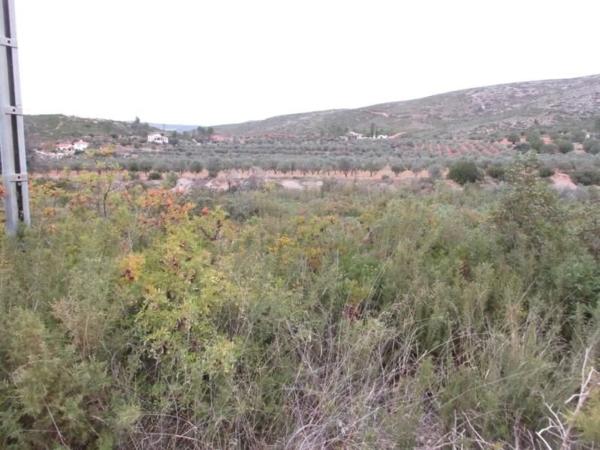 Terreno en Urbanització Llanorel 11