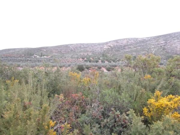 Terreno en Urbanització Llanorel 11