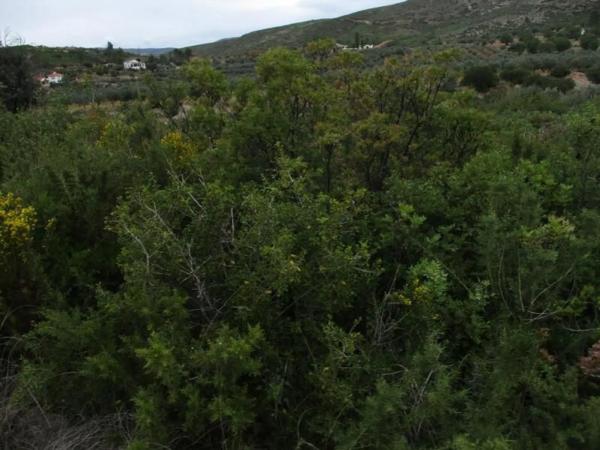 Terreno en Urbanització Llanorel 11