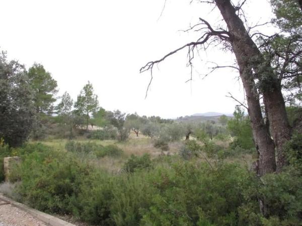 Terreno en Urbanització Llanorel 11