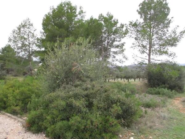 Terreno en Urbanització Llanorel 11