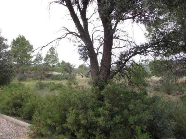 Terreno en Urbanització Llanorel 11