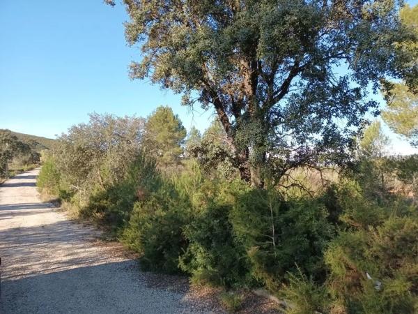 Terreno en Urbanització Llanorel 11