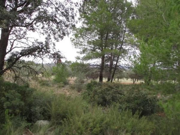 Terreno en Urbanització Llanorel 11