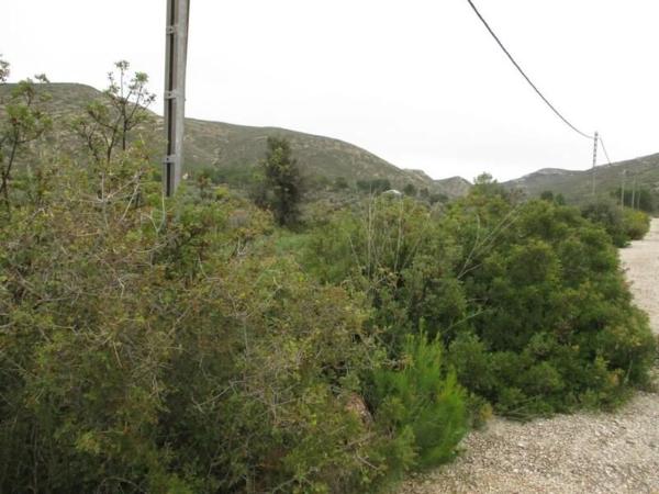 Terreno en Urbanització Llanorel 11