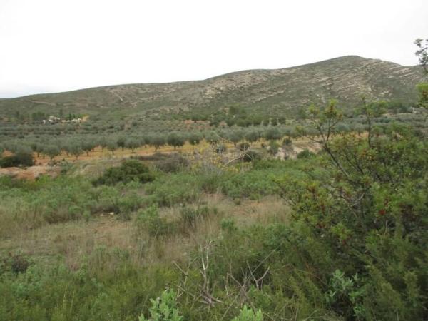 Terreno en Urbanització Llanorel 11