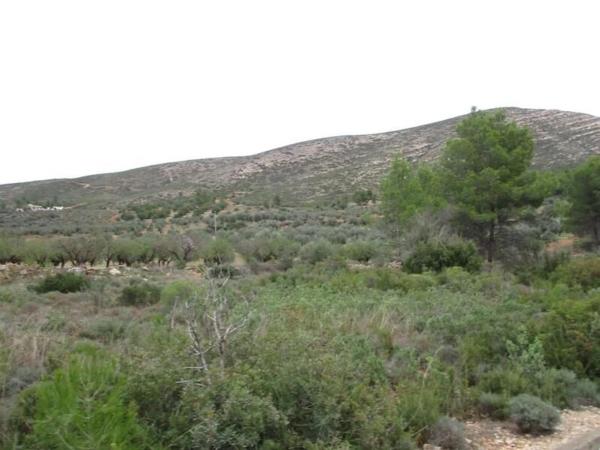 Terreno en Urbanització Llanorel 11