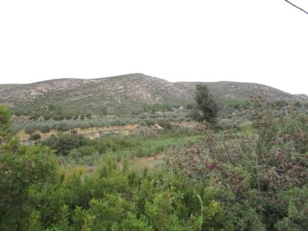 Terreno en Urbanització Llanorel 11