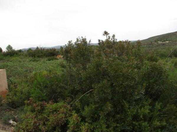 Terreno en Urbanització Llanorel 11