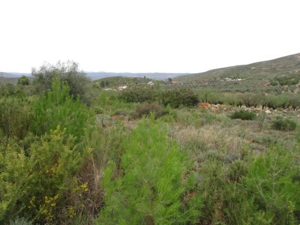 Terreno en Urbanització Llanorel 11