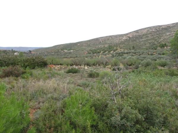 Terreno en Urbanització Llanorel 11