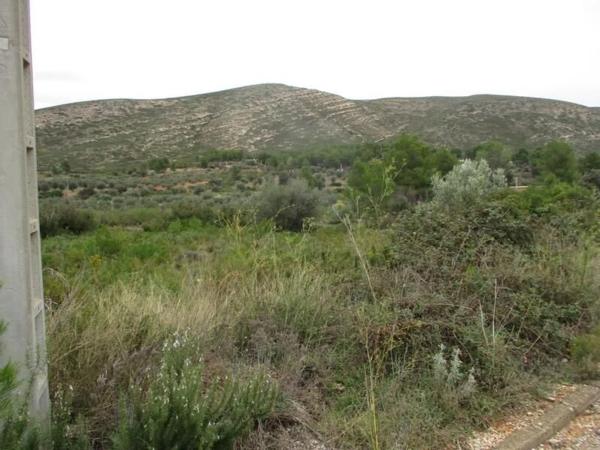 Terreno en calle Llanorel