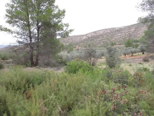 Terreno en calle Llanorel