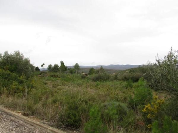 Terreno en calle Llanorel