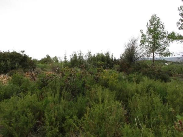 Terreno en calle Llanorel