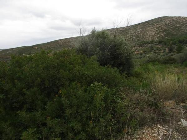 Terreno en calle Llanorel