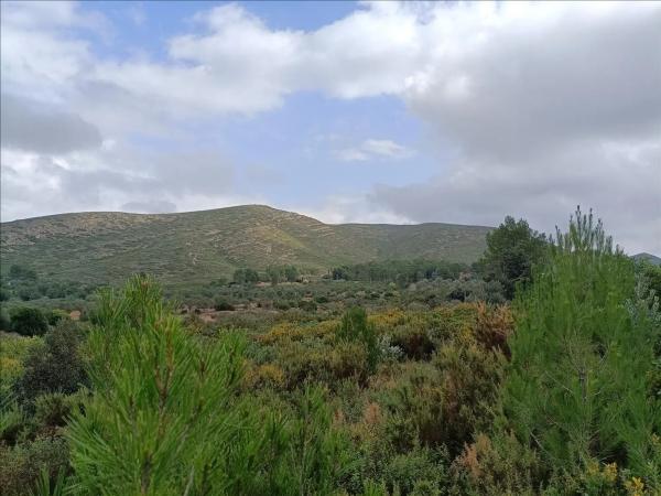 Terreno en Urbanització Llanorel 11