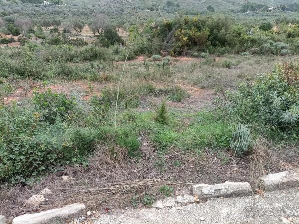 Terreno en Urbanització Llanorel 11