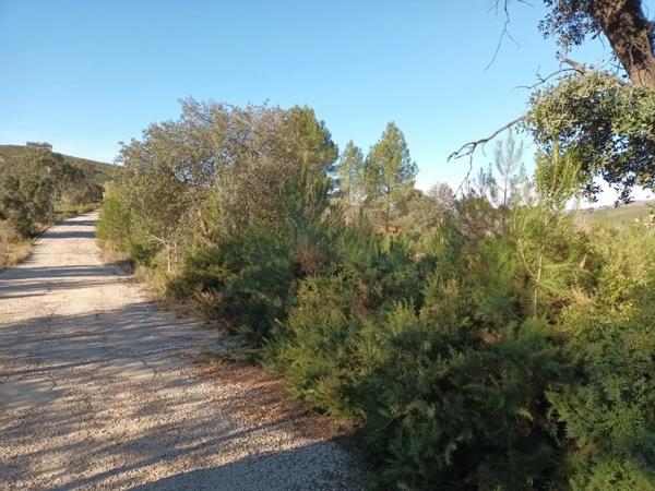 Terreno en Urbanització Llanorel 11
