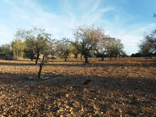 Terreno en carretera Godelleta-Turís s/n sn