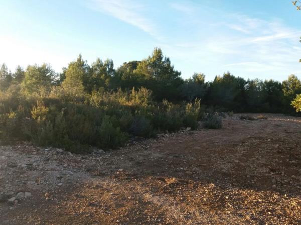 Terreno en carretera Godelleta-Turís s/n sn