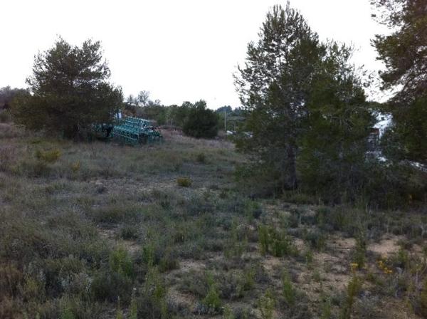 Terreno en calle urbanización el Bosque, 22